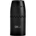 AKG CK43