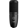 AKG P120