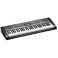 Casio CTK-1300