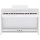 Casio Celviano AP-460WE